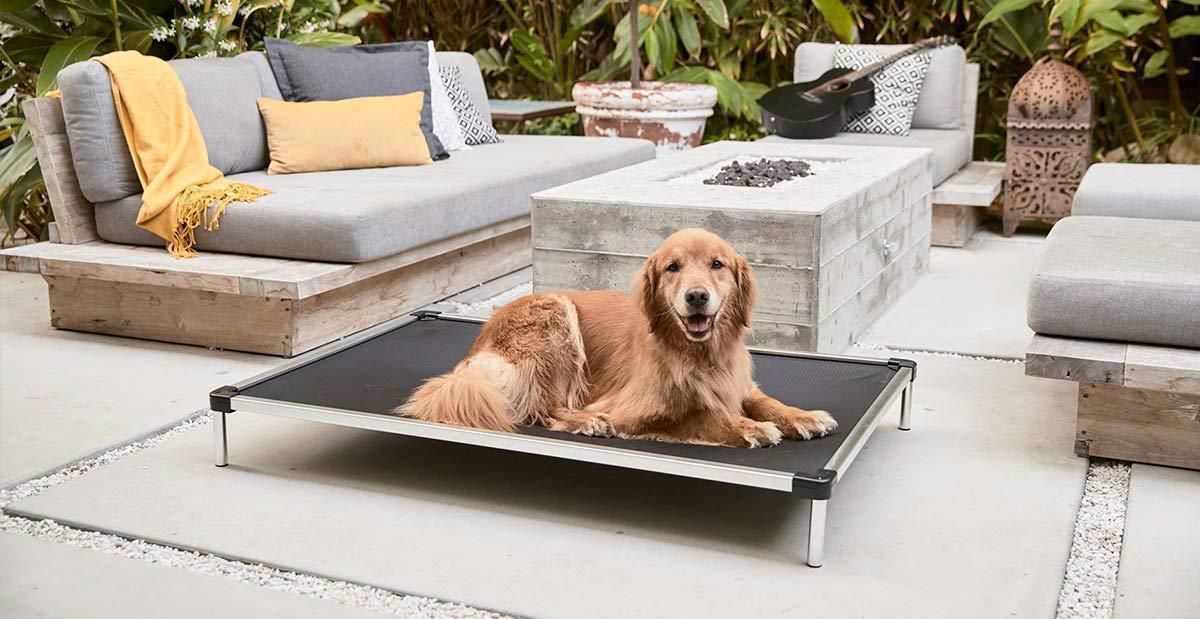 Chew Proof Armored™ Ripstop Elevated Dog Bed