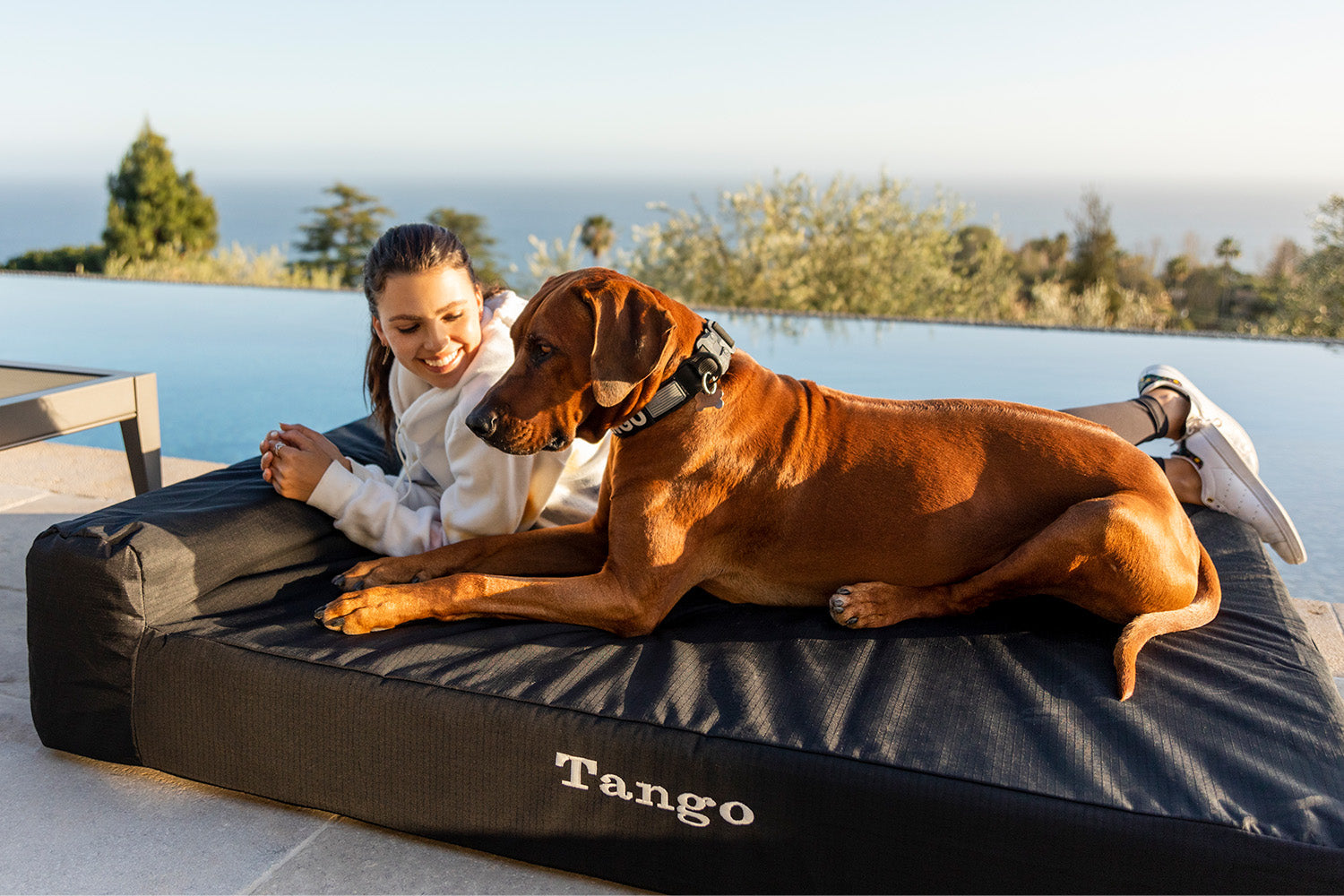 Tough Ripstop™ Giant 7" Orthopedic Dog Bed
