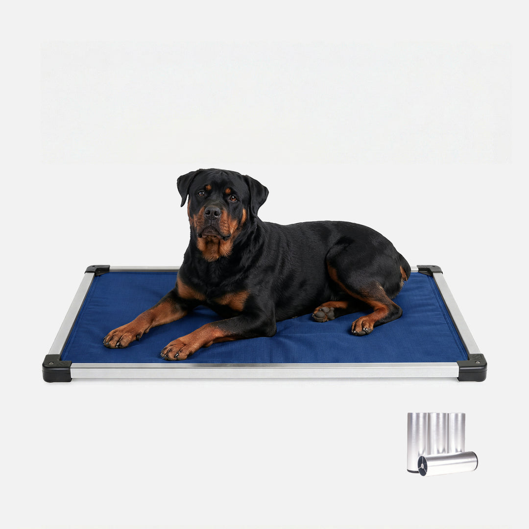 K9 Ballistics