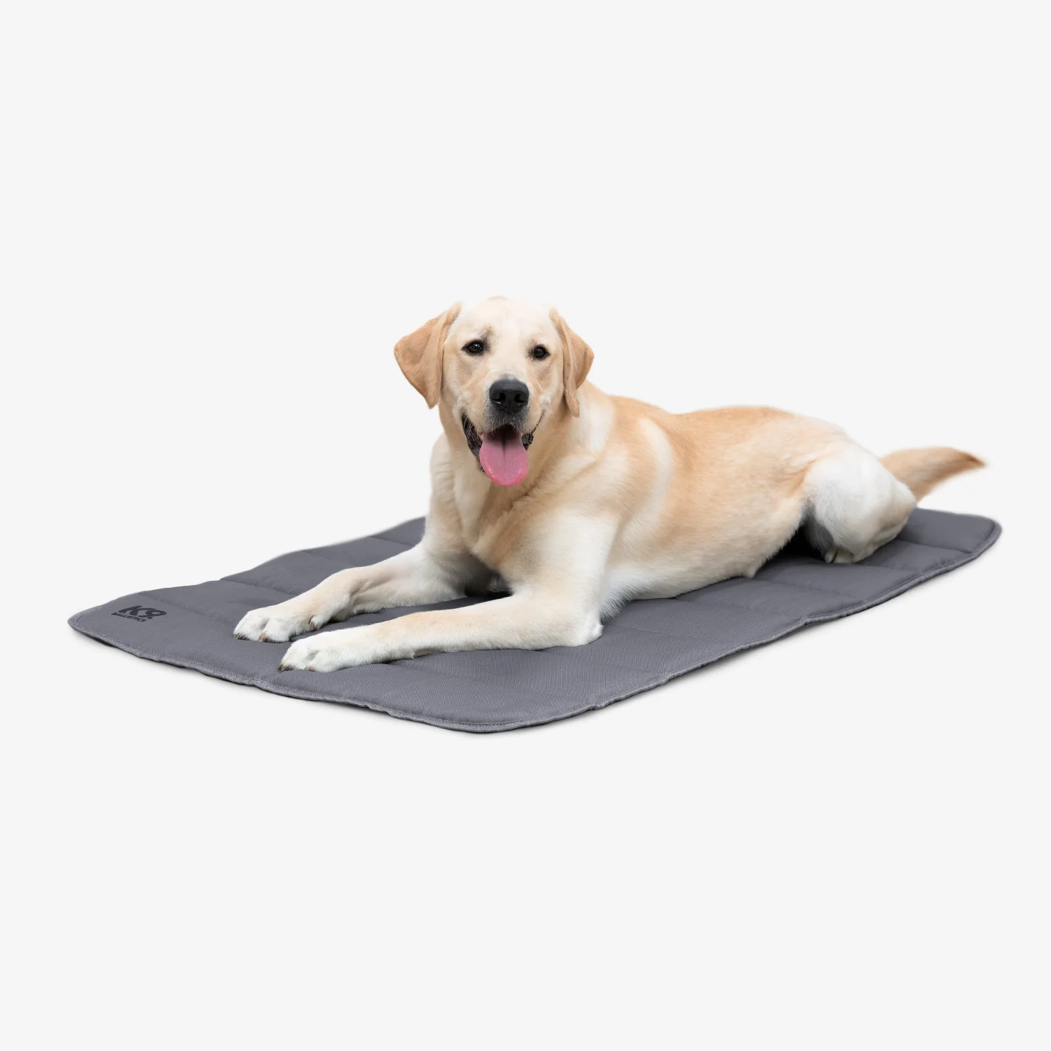 A golden retriever lying on a Tough Ripstop™ travel mat