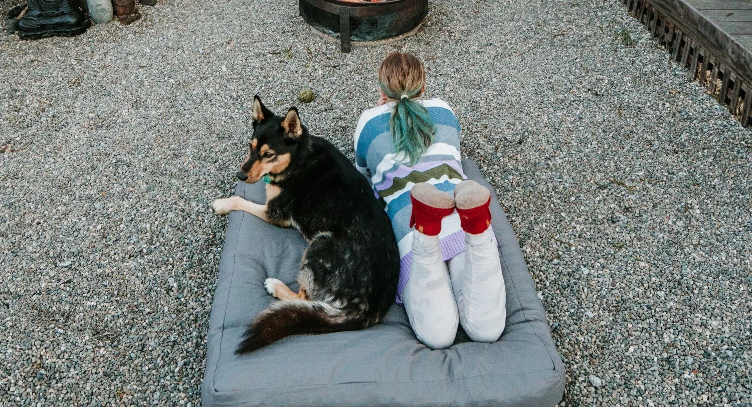 The Curious Case Of The Gray Dog Bed